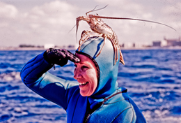 Diving in Florida in a Group